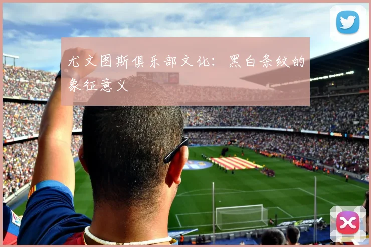 尤文图斯俱乐部文化:黑白条纹的象征意义