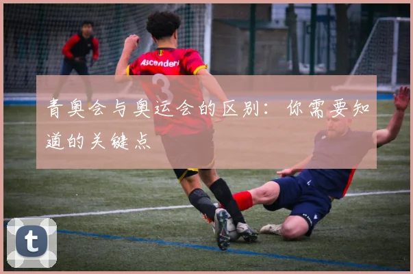 青奥会与奥运会的区别:你需要知道的关键点