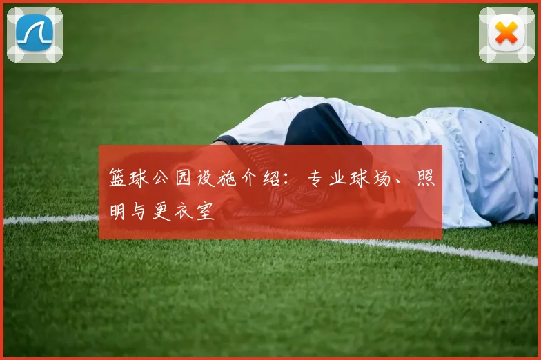篮球公园设施介绍:专业球场、照明与更衣室
